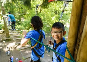 High rope adventures at Go Ape, Dalby Forest