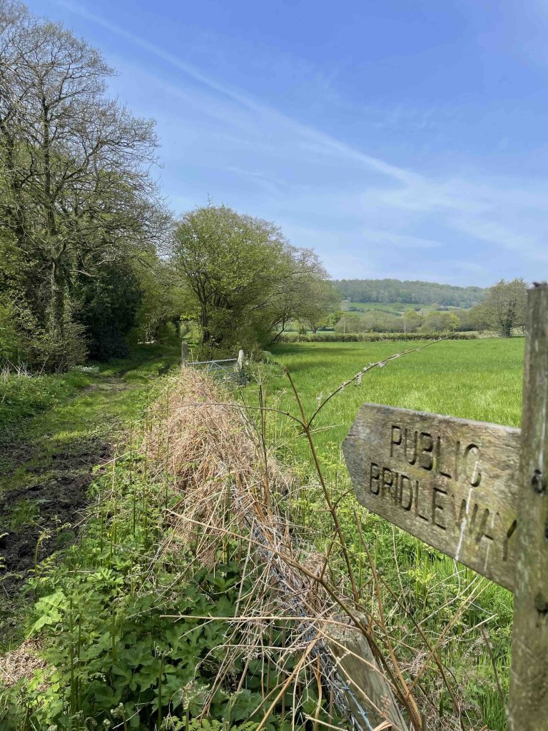 Dog friendly walks from our Holiday Cottage in Scalby, Scarborough, North Yorkshire.