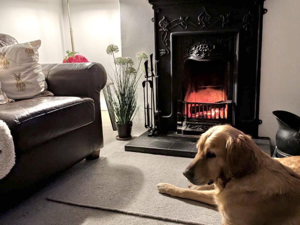 Dog laid in front of a fire, in dog friendly holiday accommodation, in Scarborough. Airbnb.