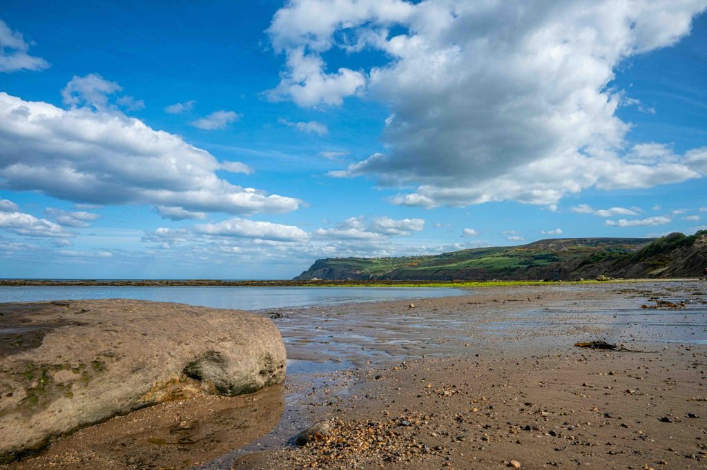 Dog friendly beaches and holiday locations.