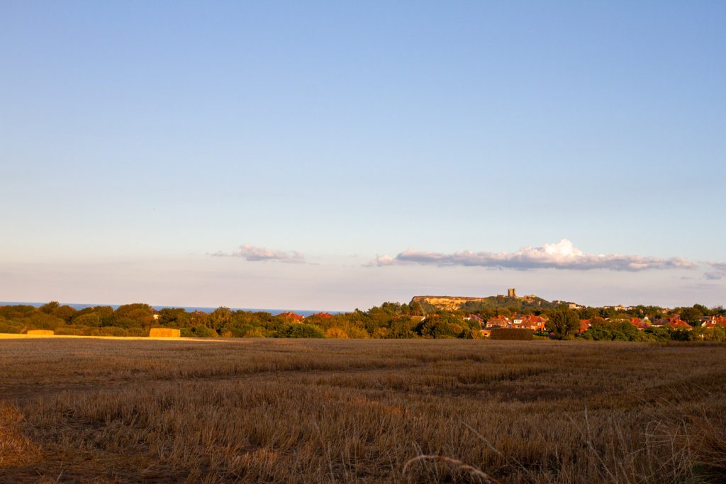 Views across to Scarborough Castle, the perfect place to Holiday with your dog.