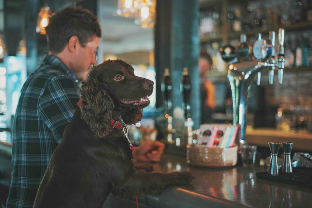 Dog friendly pubs, plenty to walk from right from the door of our holiday house in Scarborough, North Yorkshire.