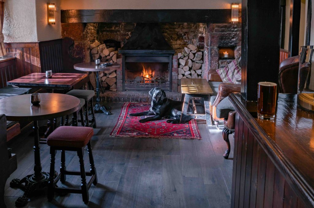 Dog friendly accommodation , Scarborough, North Yorkshire.