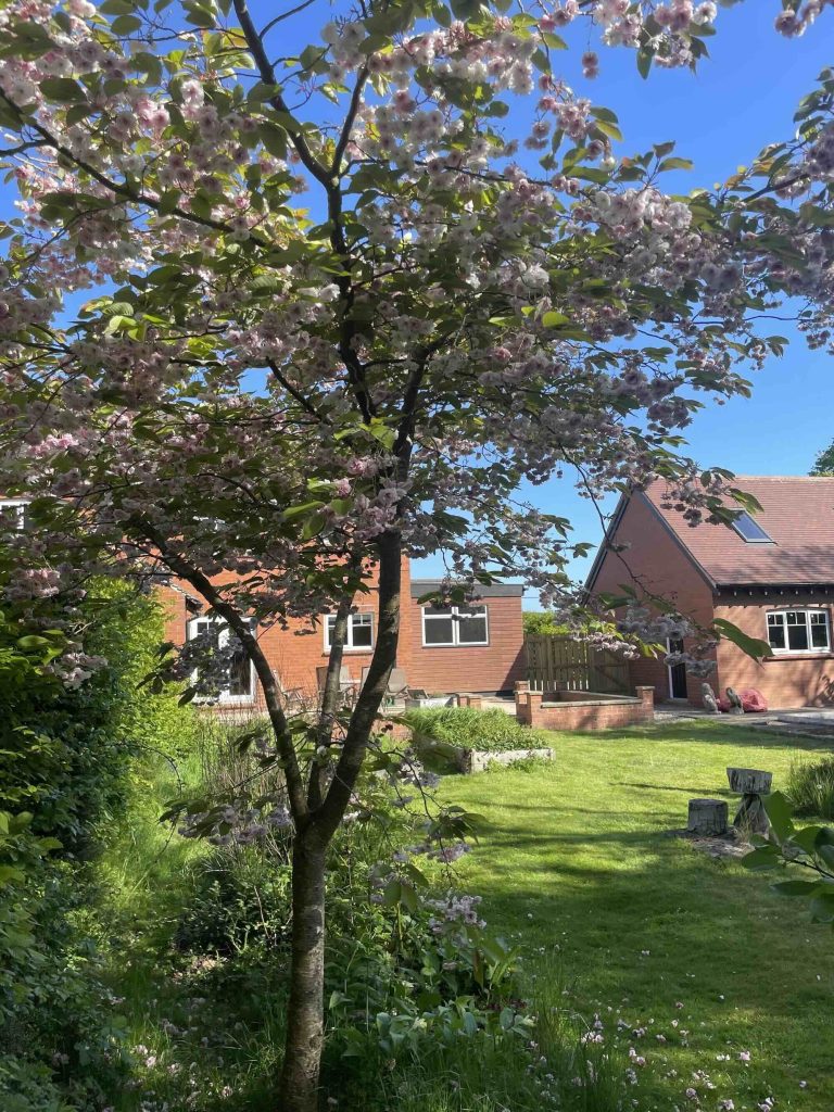 Enclosed garden and dog friendly, what more could you want from accommodation on the Yorkshire Coast.