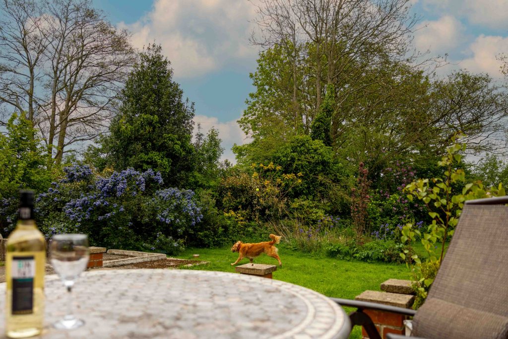 Sitting with a glass of wine in your dog friendly holiday accommodation. In Scarborough on the Yorkshire Coast.